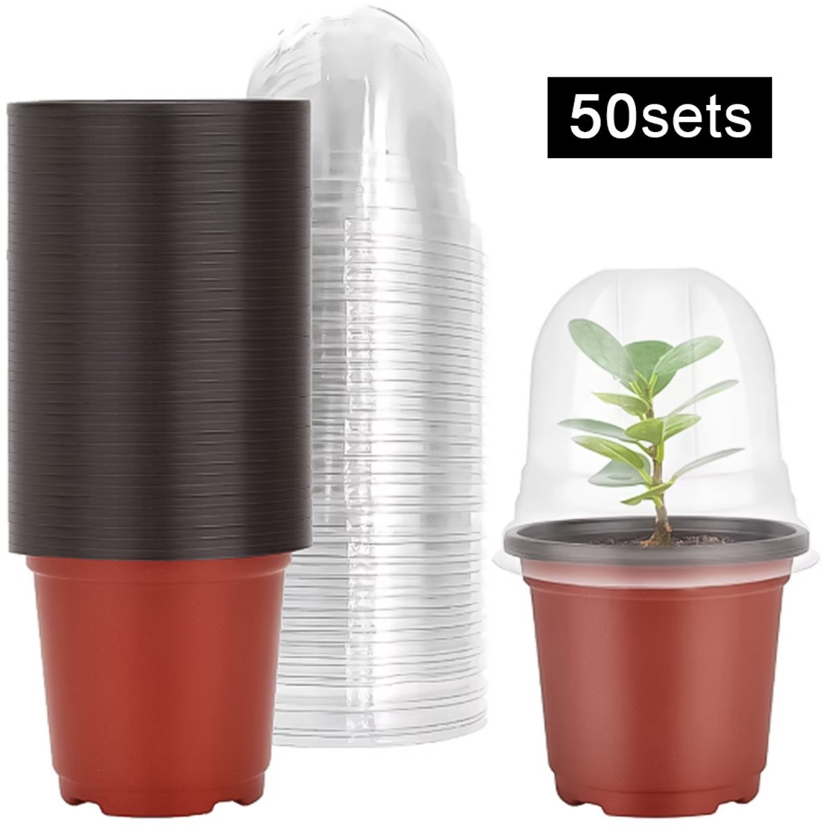 Set Van 50 Kweekpotjes met Vochtkap - Plantenbakjes - Zaadstartpotjes - voor Zaden, Stekjes, Zaailingen