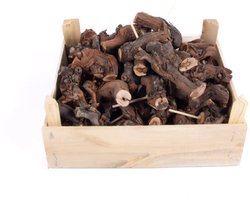 JUNAVERA Druivenhout 8-10 cm | natuurlijk klimhout en decoratie voor terrarium 100% natuurlijk