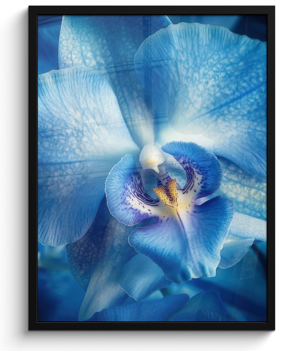 FrameYourWall Poster in lijst - Fotolijst 50x70 cm - Posters - Blauw - Orchidee - Elegeant - Posterlijst zwart - Decoratie - Wanddecoratie woonkamer - Muurdecoratie slaapkamer