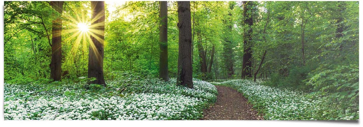 REINDERS Poster Lentebos - 53 x 158 - Papier - REINDERS groen