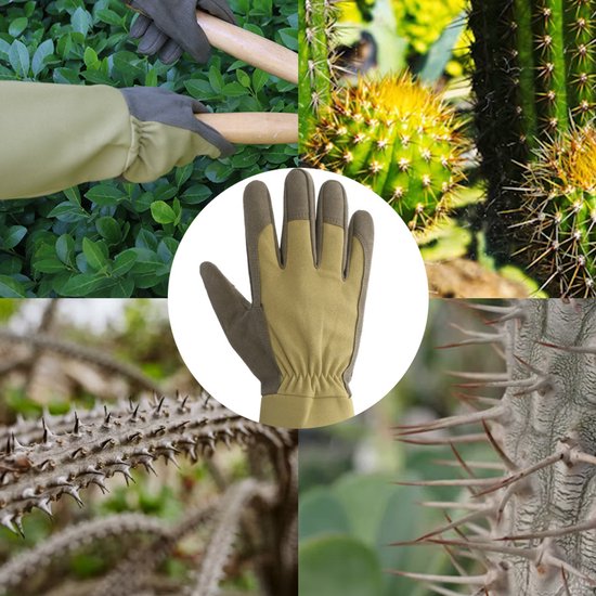 Tuinhandschoenen met lange, beige mouwen en grijze handpalm, in detail. Omringd door stekelige planten.