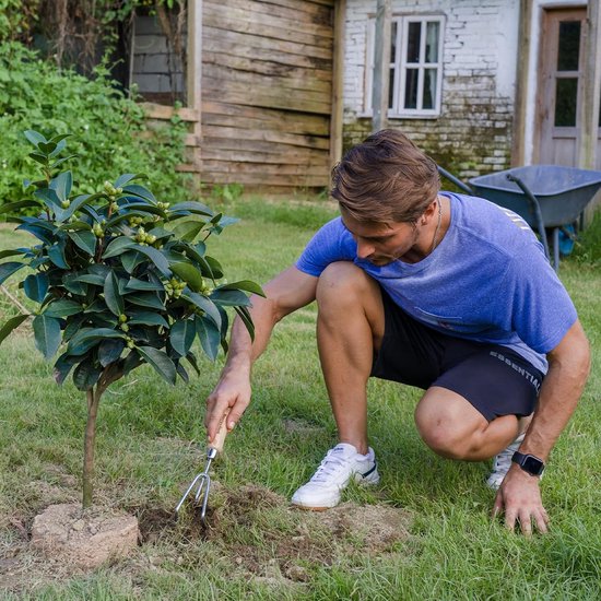 Hand Cultivator - Bodemwoeler Hark - Tuinonderhoud Onkruid - Roestvrij Staal Klauw - 29cm Lengte - Houtkleurig van Merkloos	 — afbeelding 5