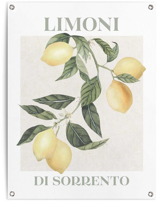 Tuinposter Limoni - 80 x 60 - Canvas - REINDERS