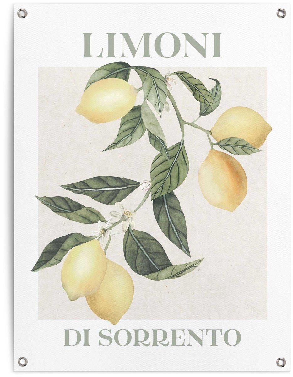 Reinders Tuinposter Limoni - 80 x 60 - Canvas - REINDERS