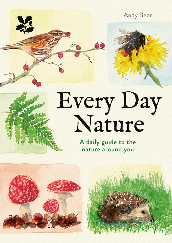 National Trust- Every Day Nature - cover