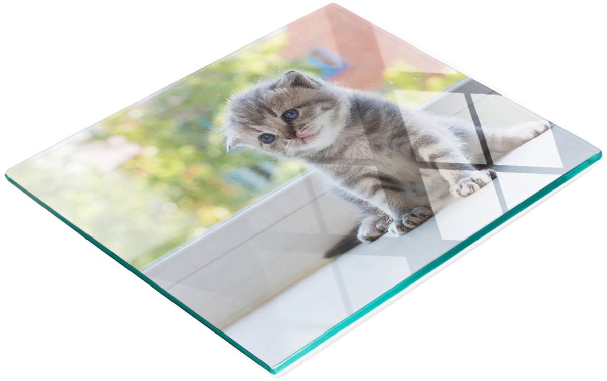 Decoratieve glazen snackplank met klein kattenraam, 60x52 cm