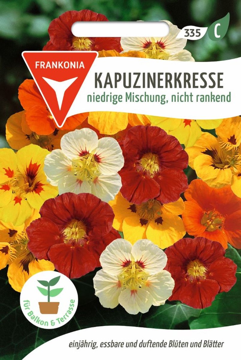 Oostindische kers, laagblijvende, niet-klimmende mix - bloemzaden