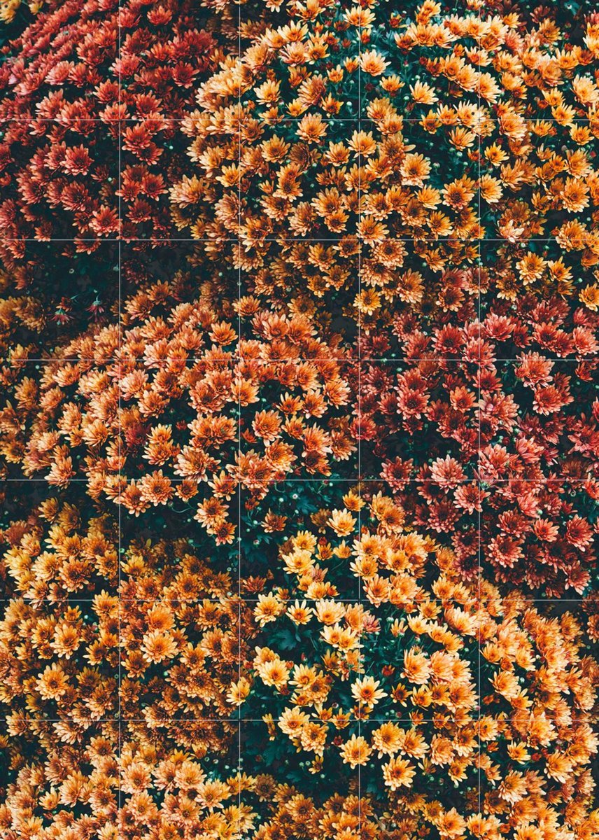 IXXI Autumn Flowers, Pati Photography - 100 x 140 cm - Gratis ophangtool - Grote wanddecoratie en posters - Fotografie, Woonkamer, Eetkamer
