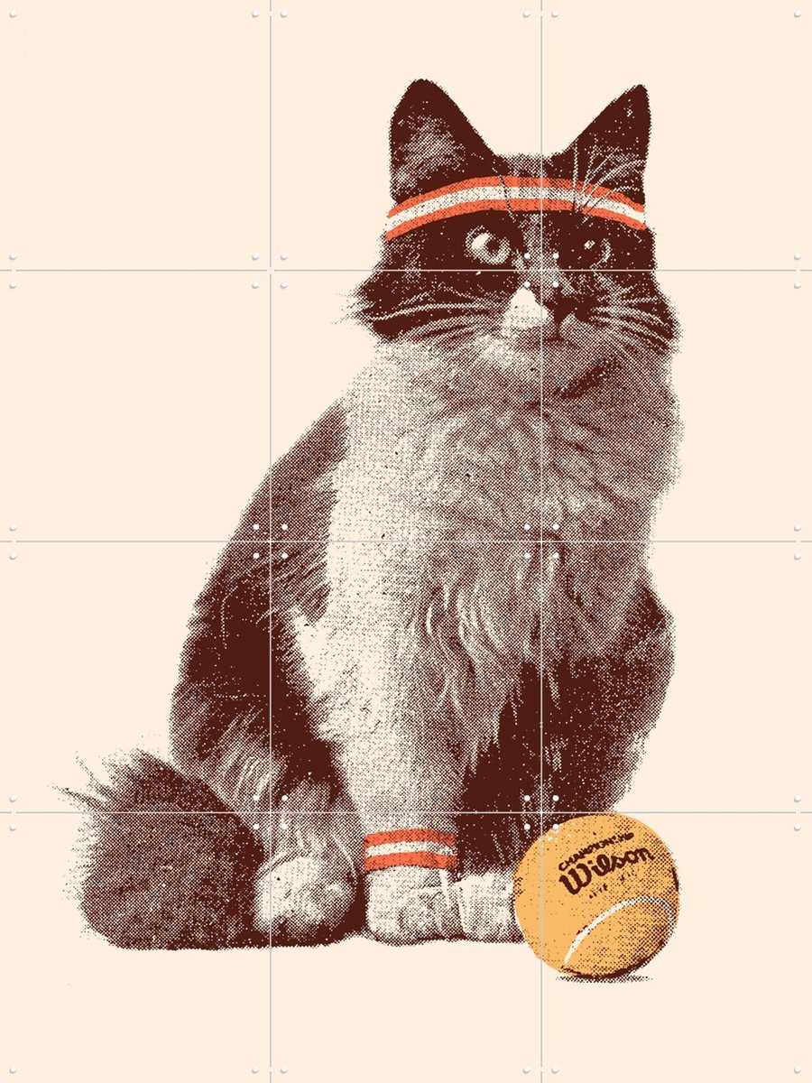 IXXI Chat Tennis, Florent Bodart - 60 x 80 cm - Gratis ophangtool - Grote wanddecoratie en posters - Kleurrijk, Speels, Pop art, Illustraties