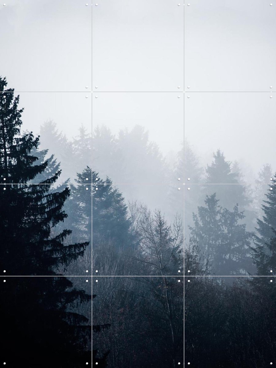 IXXI Woods 7, Mareike Böhmer - 60 x 80 cm - Gratis ophangtool - Grote wanddecoratie en posters - Fotografie, Woonkamer, Slaapkamer, Bossen, Natuur
