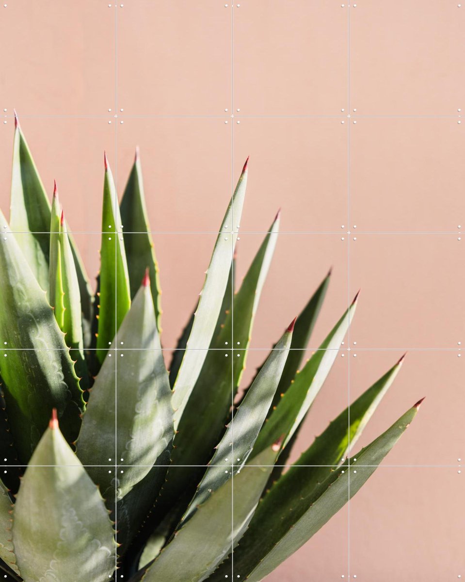 IXXI Green Plant Pink Wall, Photolovers - 80 x 100 cm - Gratis ophangtool - Grote wanddecoratie en posters - Fotografie, Minimalisme, Naturalisme