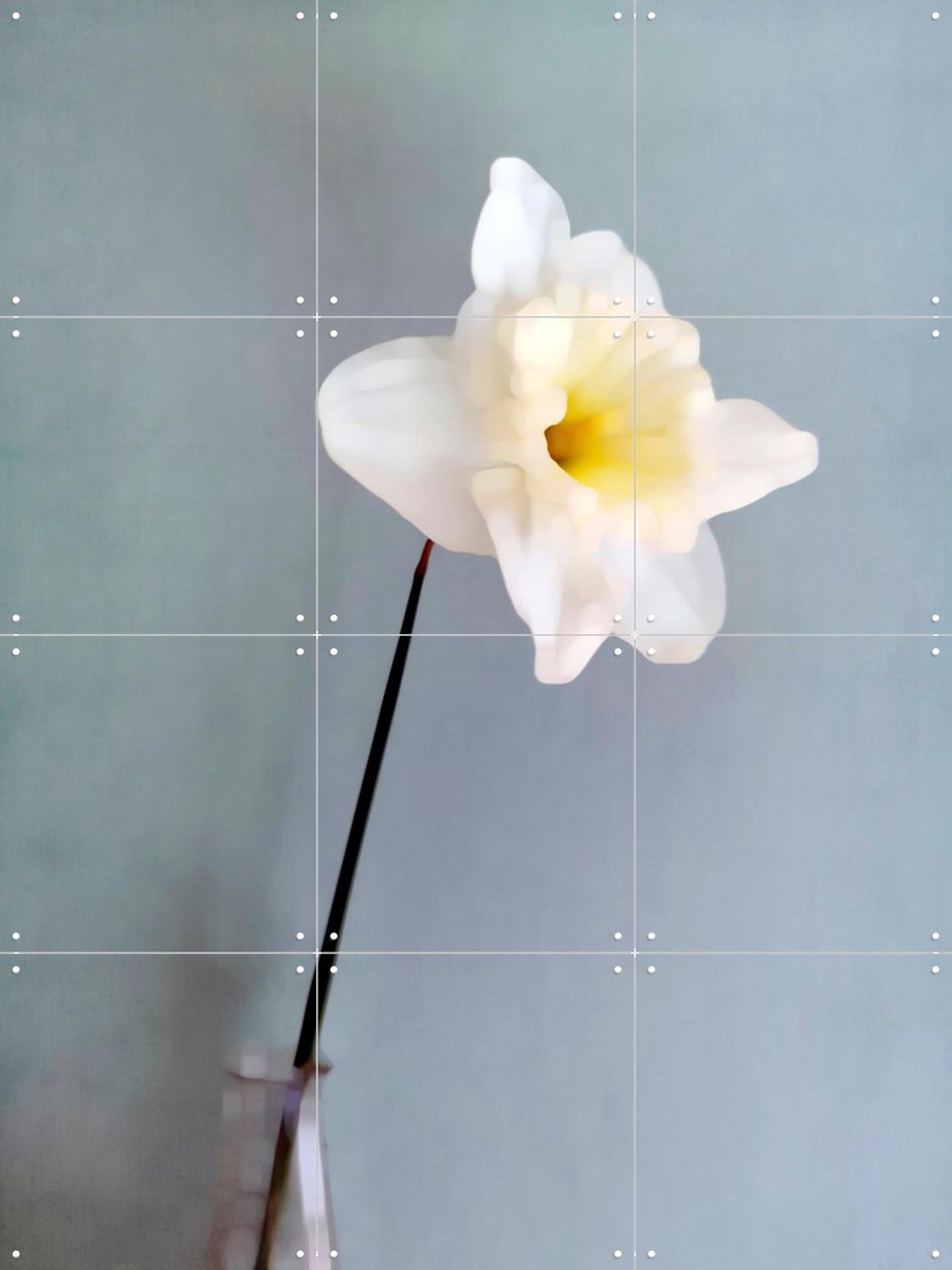 IXXI Narciso, Angelo Cerantola - 60 x 80 cm - Gratis ophangtool - Grote wanddecoratie en posters - Kleurrijk, Fotografie, Slaapkamer, Woonkamer
