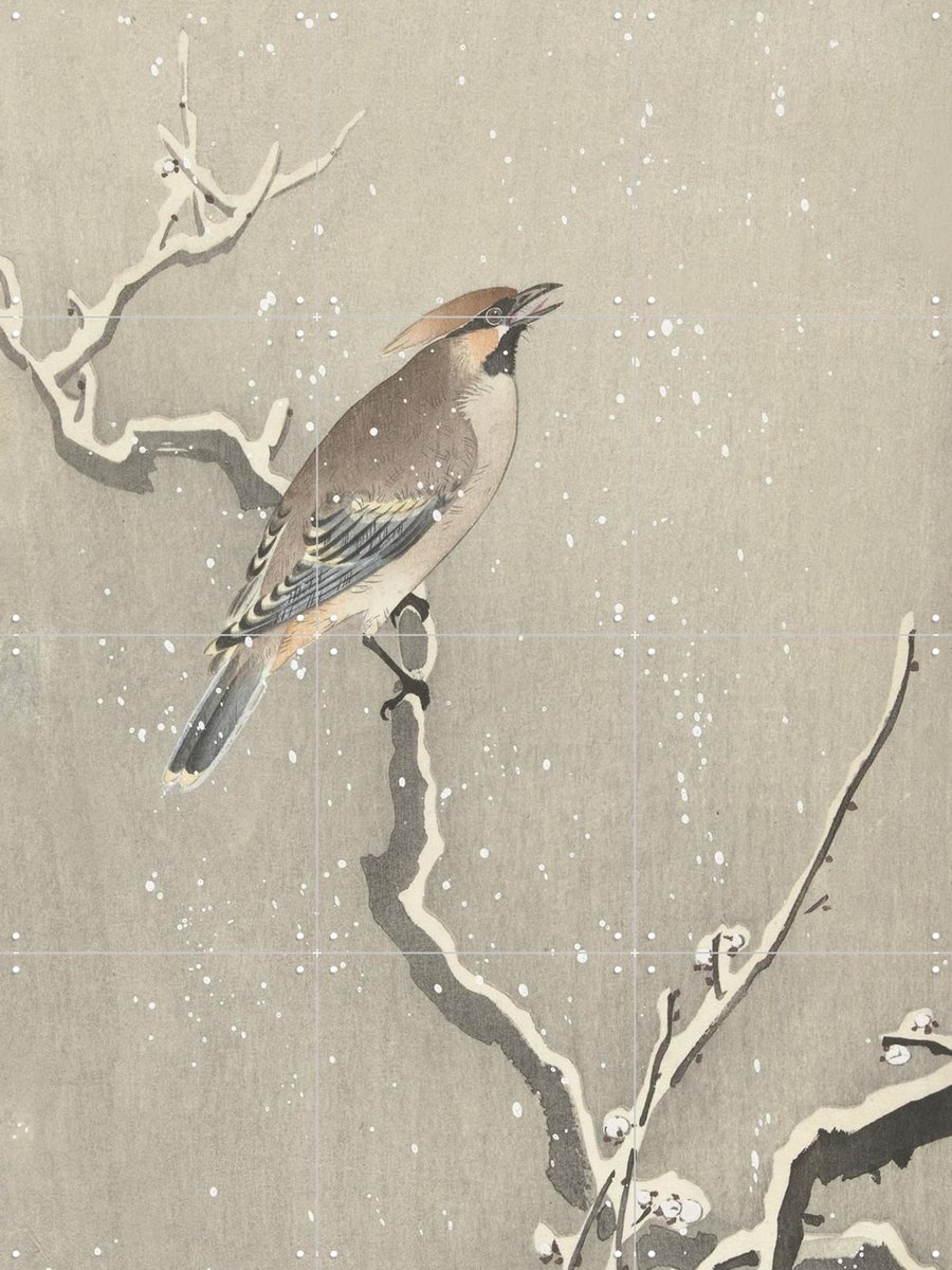 IXXI Bird on a snowy branch, Ohara Koson & Rijksmuseum - 60 x 80 cm - Gratis ophangtool - Grote wanddecoratie en posters - Ukiyo-e, Klassiek