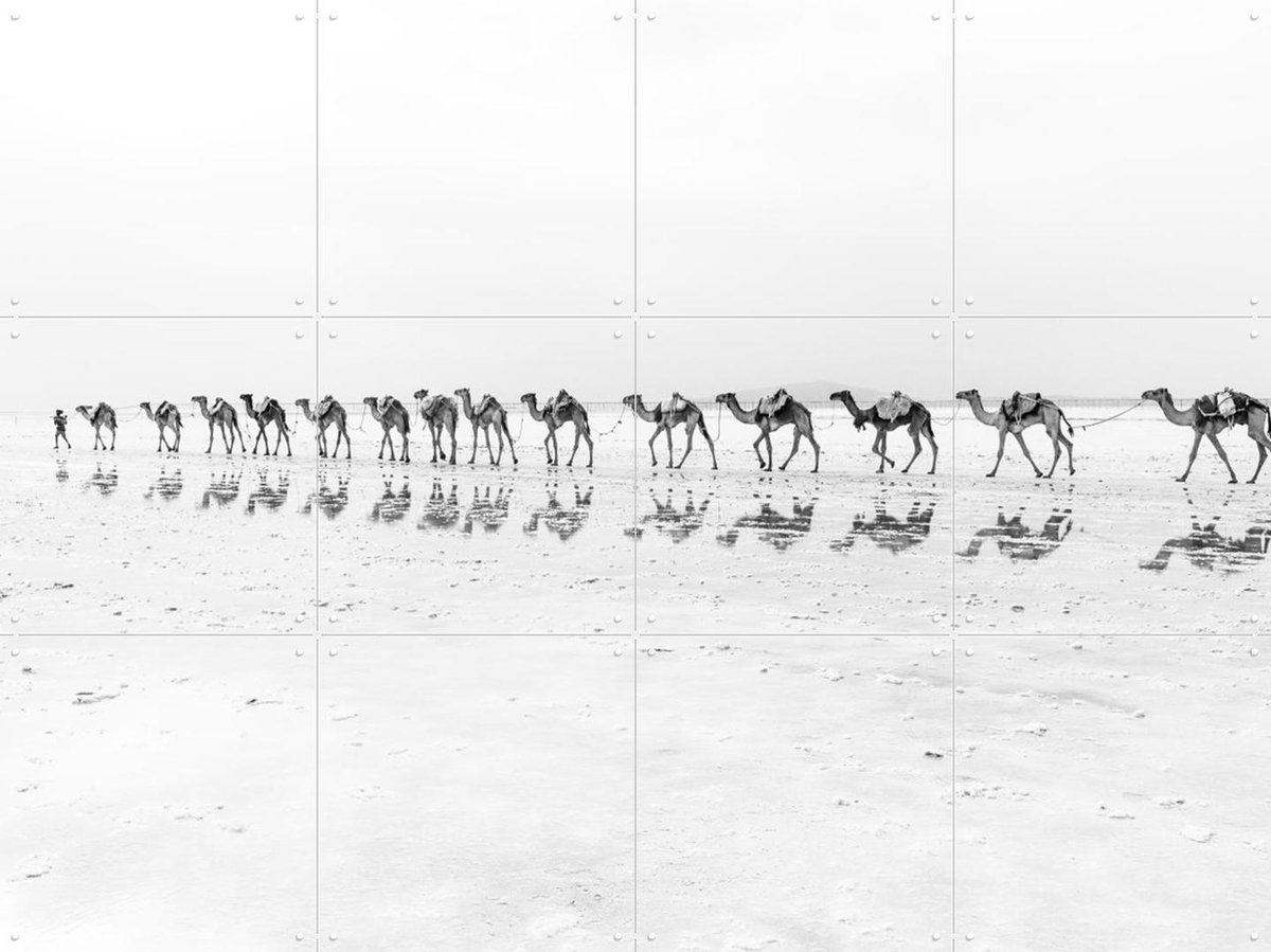 IXXI Salt Transport with Camels, Photolovers - 80 x 60 cm - Gratis ophangtool - Grote wanddecoratie en posters - Minimalisme, Fotografie, Woonkamer