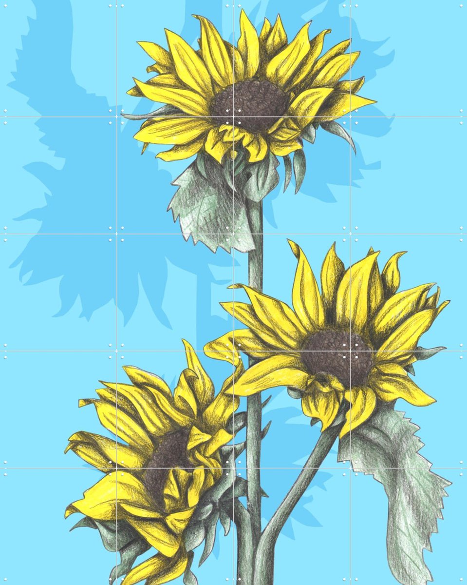 IXXI Sunflowers, Cecilia Battaini - 80 x 100 cm - Gratis ophangtool - Grote wanddecoratie en posters - Illustraties, Digitale Kunst, Tekeningen, Gang