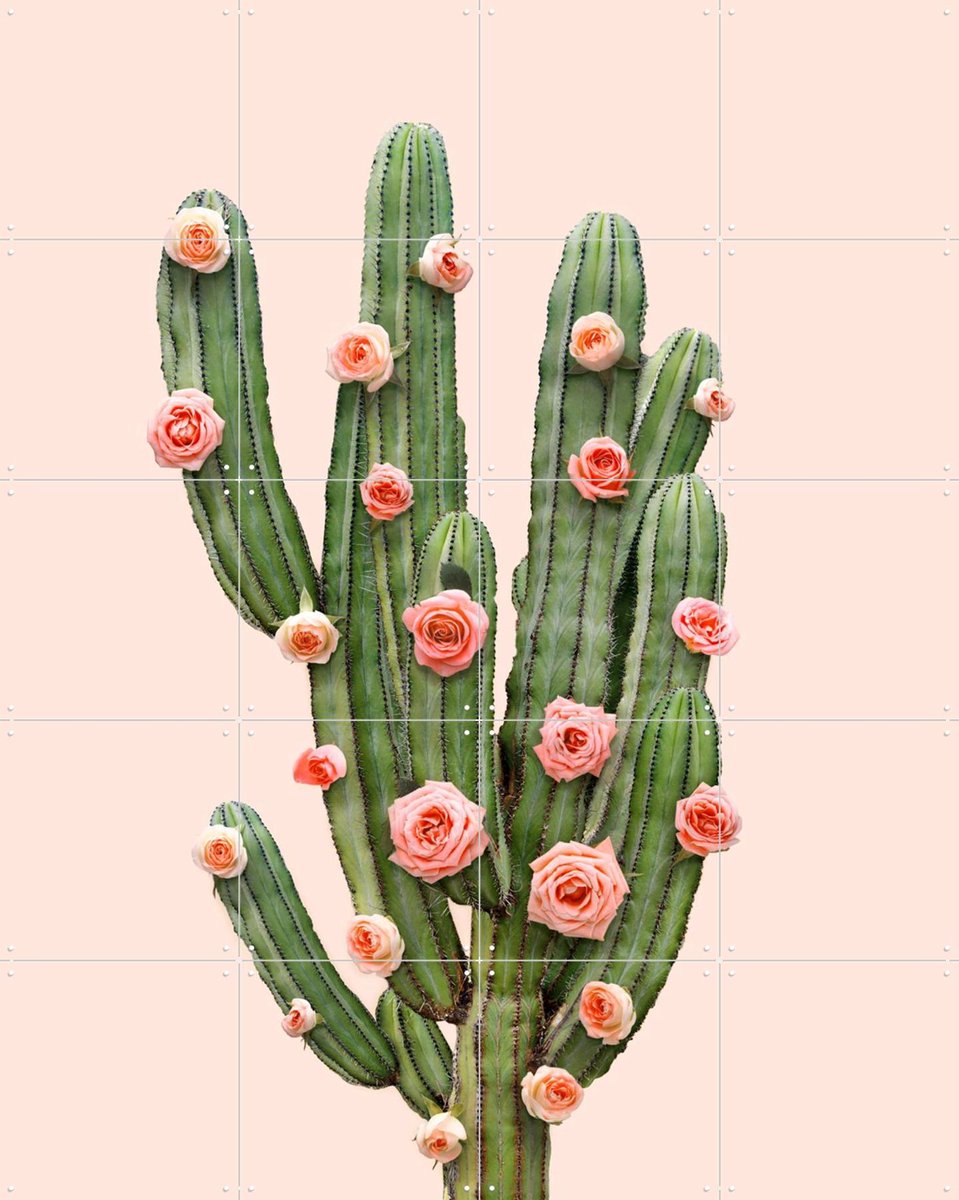 IXXI Cactus and Roses, Paul Fuentes - 80 x 100 cm - Gratis ophangtool - Grote wanddecoratie en posters - Digitale Kunst, Fotografie, Speels, Pop art