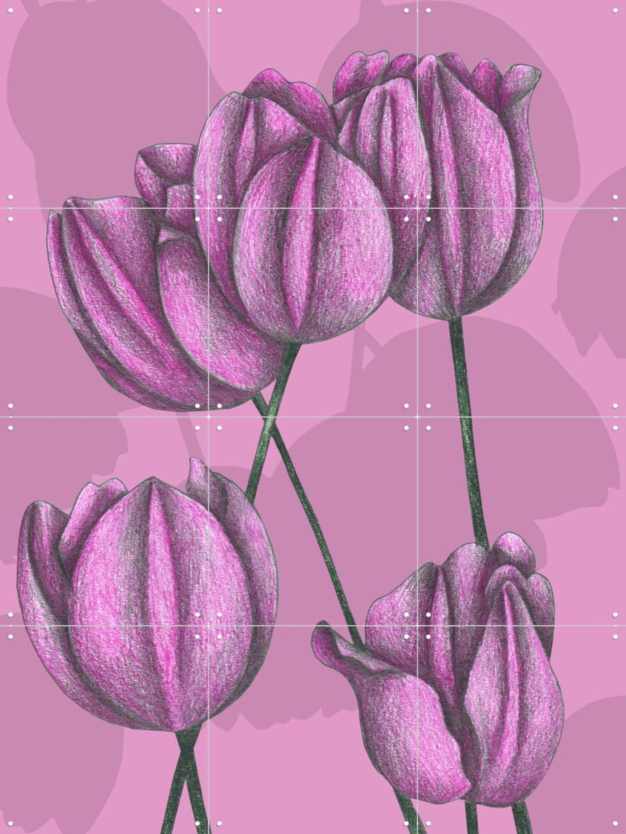 IXXI Purple Tulips, Cecilia Battaini - 60 x 80 cm - Gratis ophangtool - Grote wanddecoratie en posters - Naturalisme, Tekeningen, Illustraties, Gang