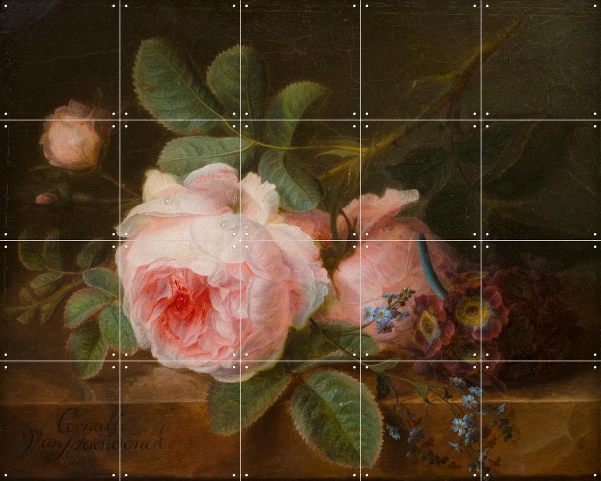 IXXI Koolroos, Gerard van Spaendonck & Het Noordbrabants Museum - 100 x 80 cm - Gratis ophangtool - Grote wanddecoratie en posters - Naturalisme