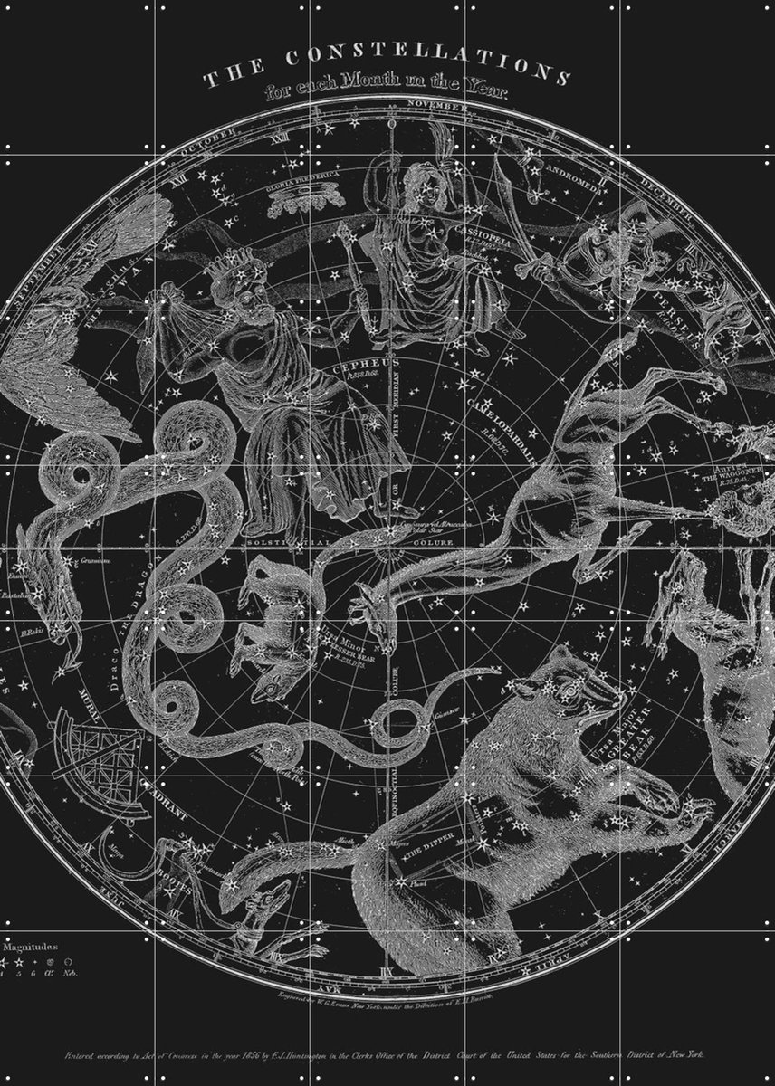 IXXI The Constellations black, Aster Edition - 100 x 140 cm - Gratis ophangtool - Grote wanddecoratie en posters - Vintage, Illustraties, Houtsnede