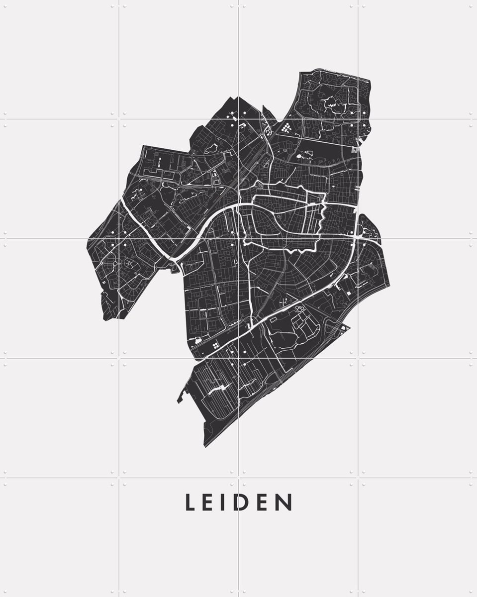 IXXI Leiden City Map, Kunst in Kaart - 80 x 100 cm - Gratis ophangtool - Grote wanddecoratie en posters - Technische Tekening, Grafisch Ontwerp, Line