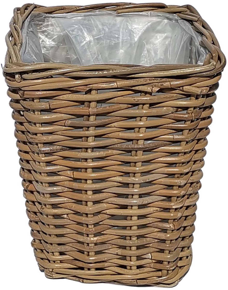 Rotan mand Turijn