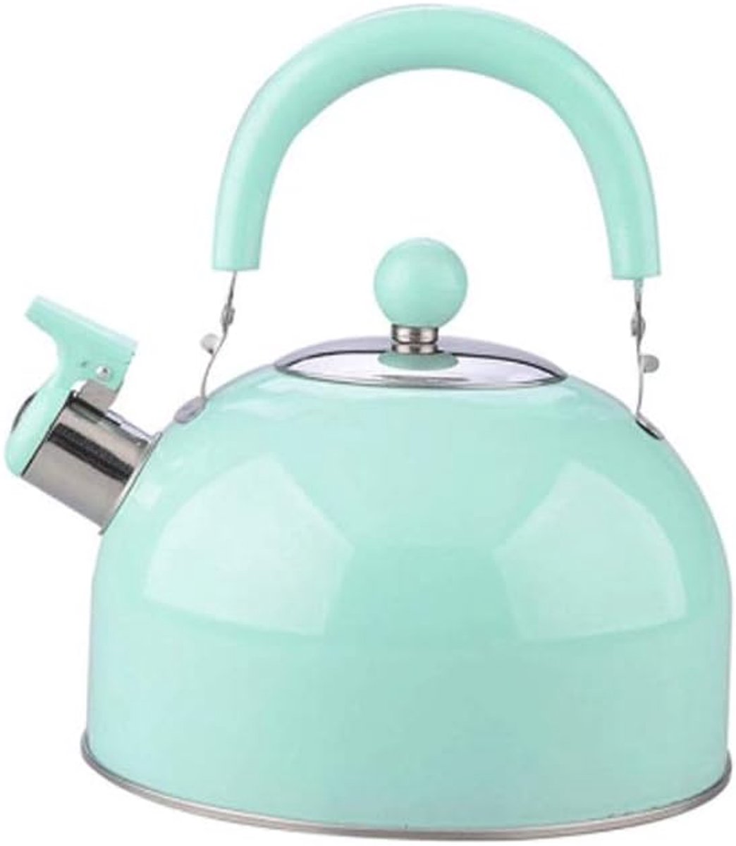 Fluitketel Roestvrijstaal - Waterkoker Ketel - Water Koken - Niet-magnetisch Verdikt - 1.00 Stuks - Gekleurd
