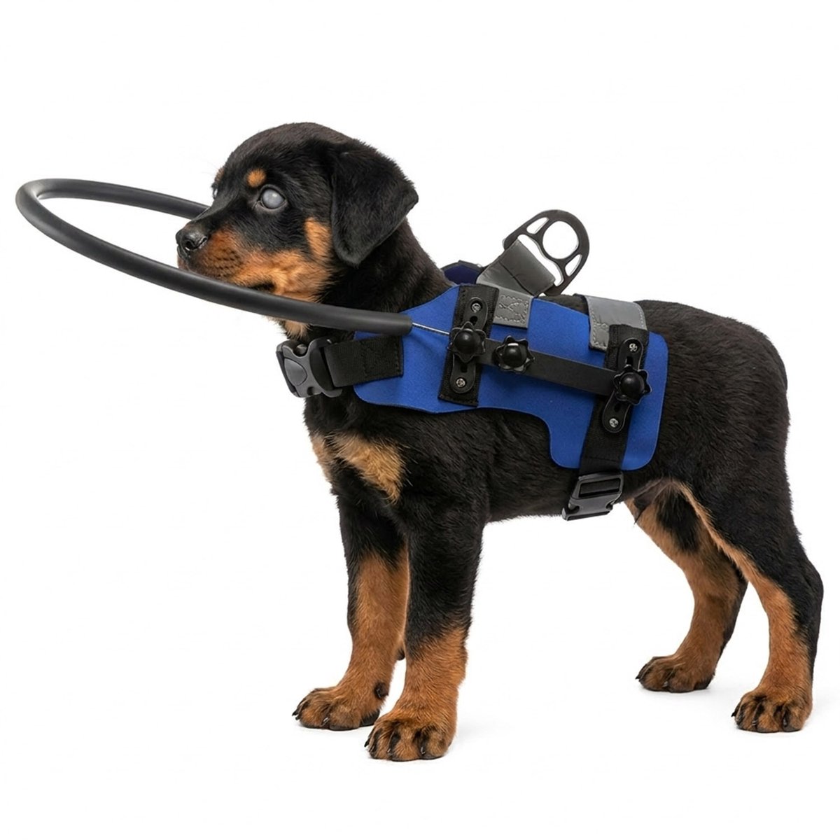 MAGICSHE Anti-Botsingsring Voor Blinde Honden - Verstelbaar Veiligheidsharnas - Reflecterend & Lichtgewicht - Blindengeleideharnas - Blauw S