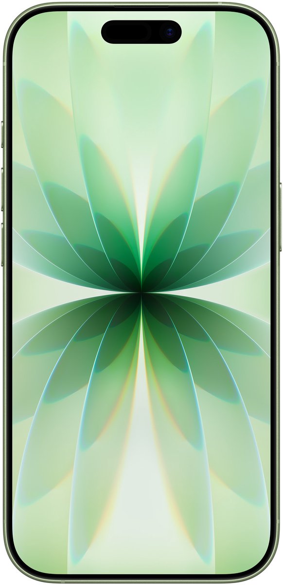 Apple iPhone 17 - 256GB - Sage – foto 6