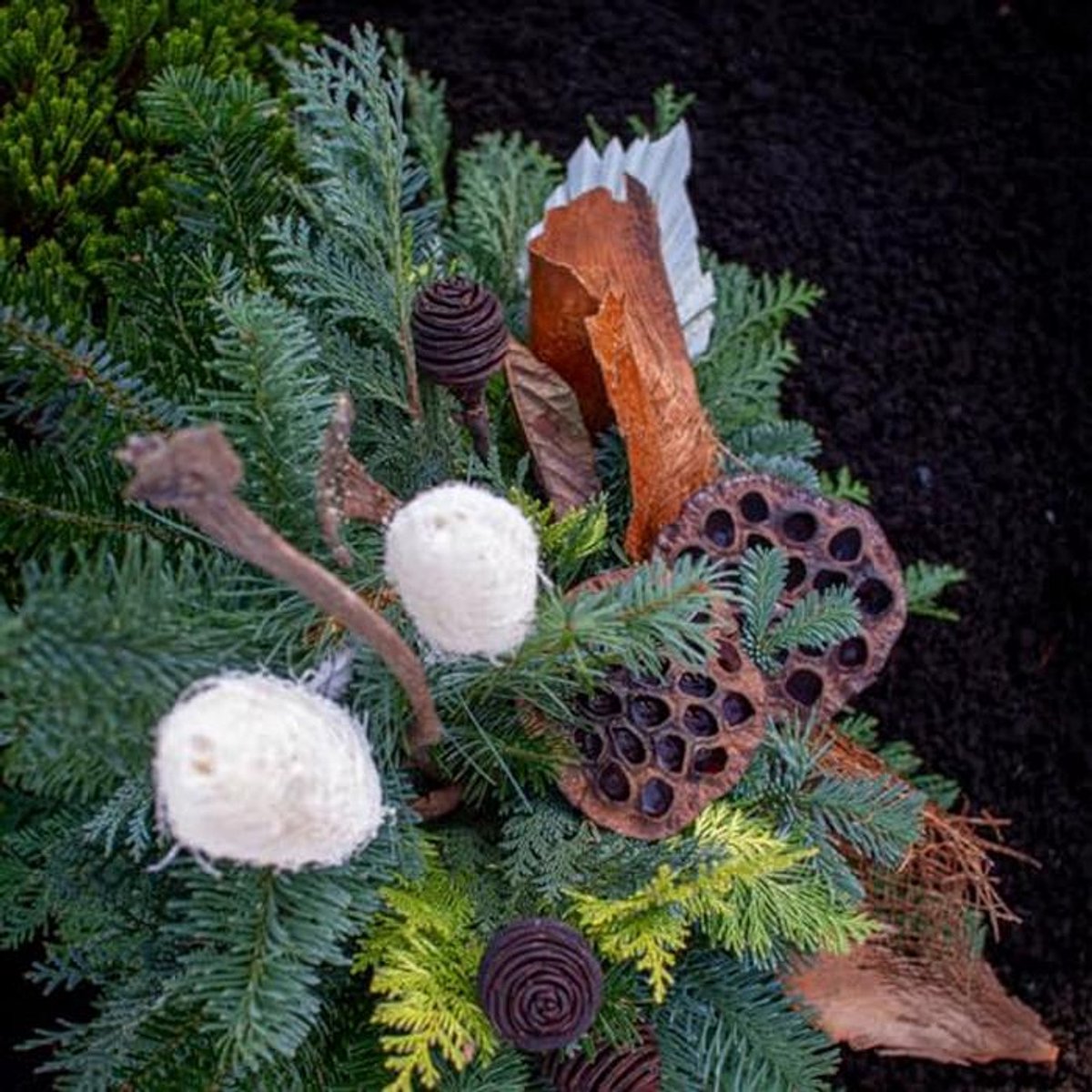 Gedroogde lotusbloemen set van 10 voor decoratie en knutselprojecten