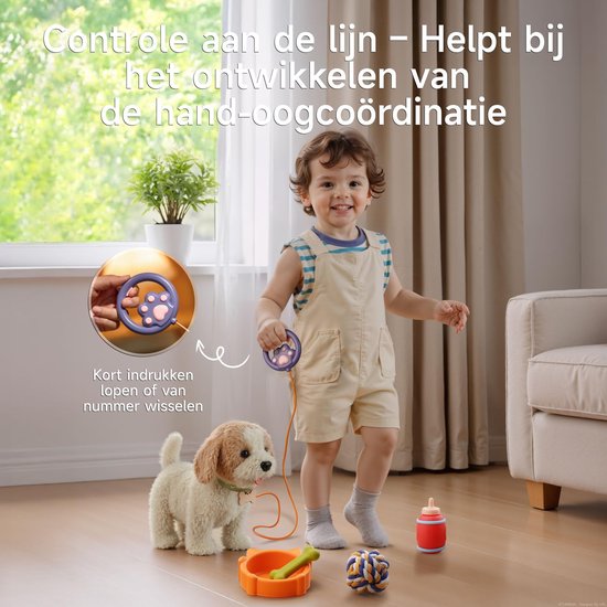 Een jongen met overall loopt met een witte en bruine pluche hond aan een paarse riem met pootafdruk. Tekst: 'Controle aan de lijn - Helpt bij het ontwikkelen van de hand-oogcoördinatie'.