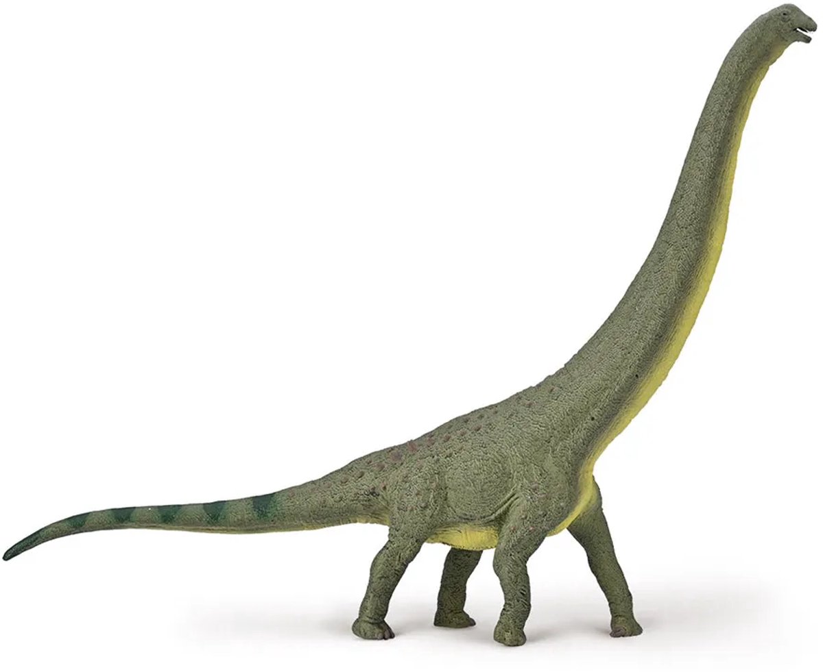 COLLECTA Figurine - Dreadnoughtus - 1:100 - Prehistorie - Handgeschilderd - Dinosaurus - Miniatuur