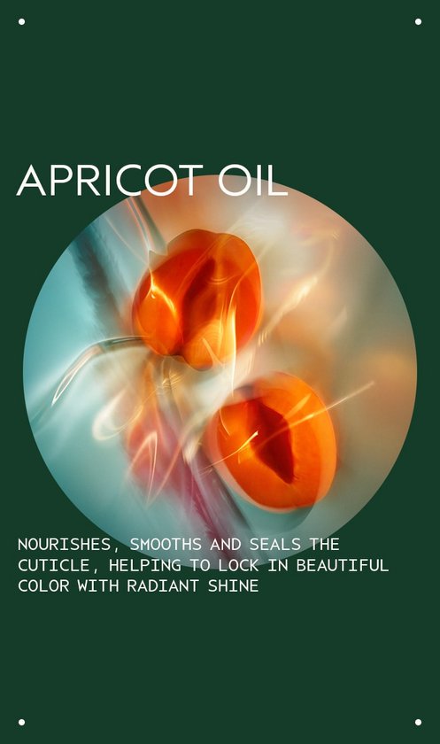 Abstracte afbeelding van twee abrikozen in een cirkel, met de tekst 'APRICOT OIL'.