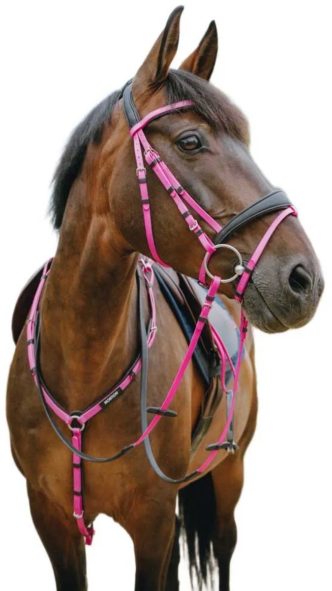 Norton Equestrian Endurance Hoofdstellen Roze Cob