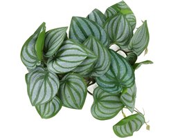 Zijde plant bladeren decoratie met zuignap voor aquarium en terrarium, 25x25cm