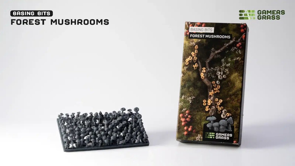 Basing Bits Forest Mushrooms