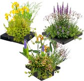 vdvelde.com - Set d'îlots flottants pour plantes aquatiques - 3 pièces - Plantes aquatiques - 12 plantes - Placement : -10 à -20 cm