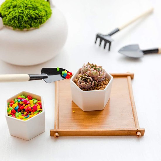 Tuingereedschap Set - Mini Schep Hark - Planten Verzorgen - Metalen Kop - 3-delig - One Color van Tuingereedschap. — afbeelding 5