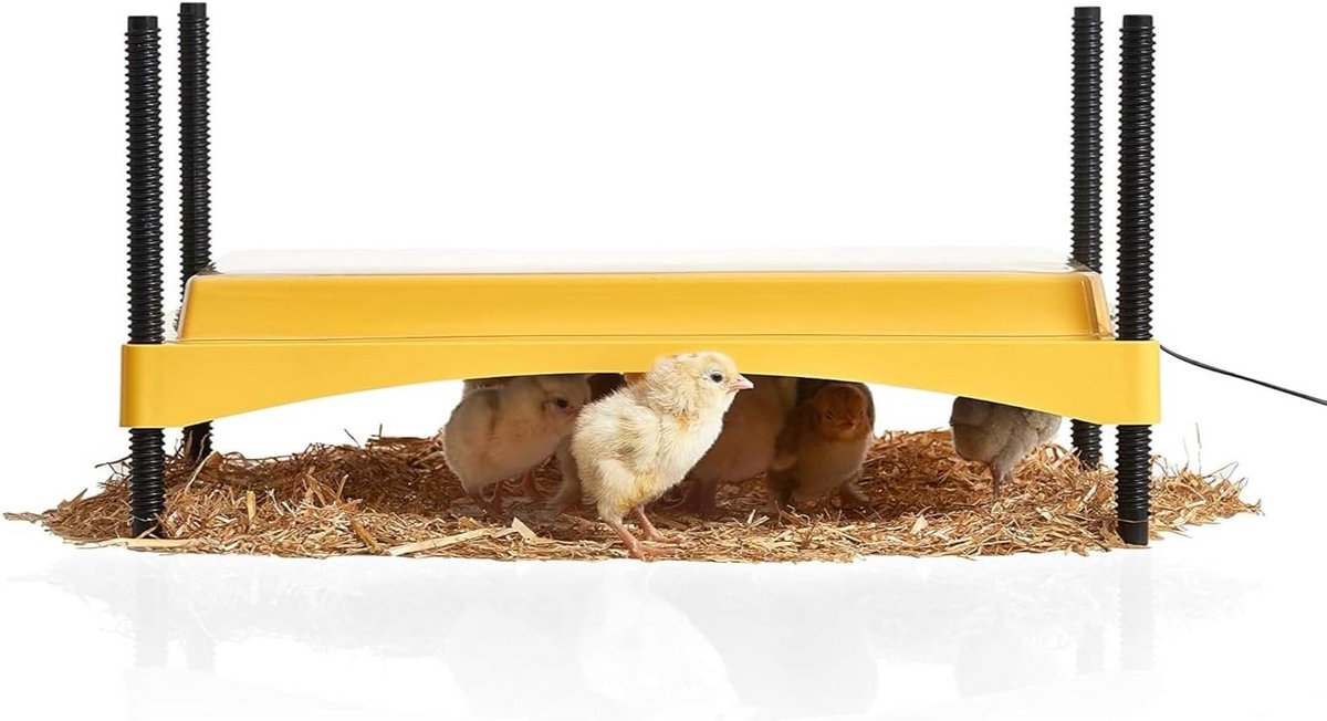 Veilige en Energiezuinige Kuikenbroeder voor 35 Kippenkuikens of Eendjes