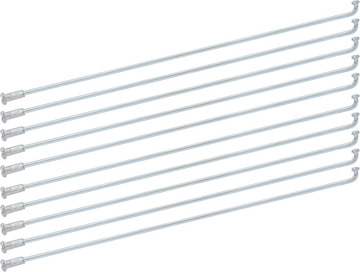 10x RVS Fietswielspaken 2.2mm Dikte voor Mountainbike en Driewieler - 310mm