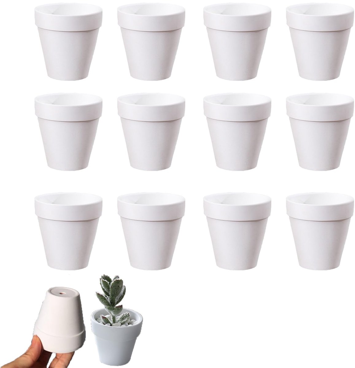Herbruikbare Terracotta Bloempotten - Perfect voor Vetplanten - 3 x 3 cm, Wit