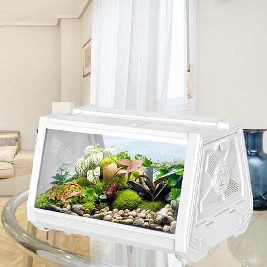 Reptiles Planet Terrarium Repti Scape