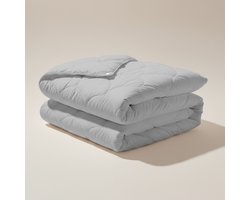 Dekbed-Discounter - Zydante 4-Seizoenen Dekbed Zonder Overtrek 200 x 200 cm - Wasbaar dekbed - Wasbaar op 40 graden - Anti-allergisch - Grijs