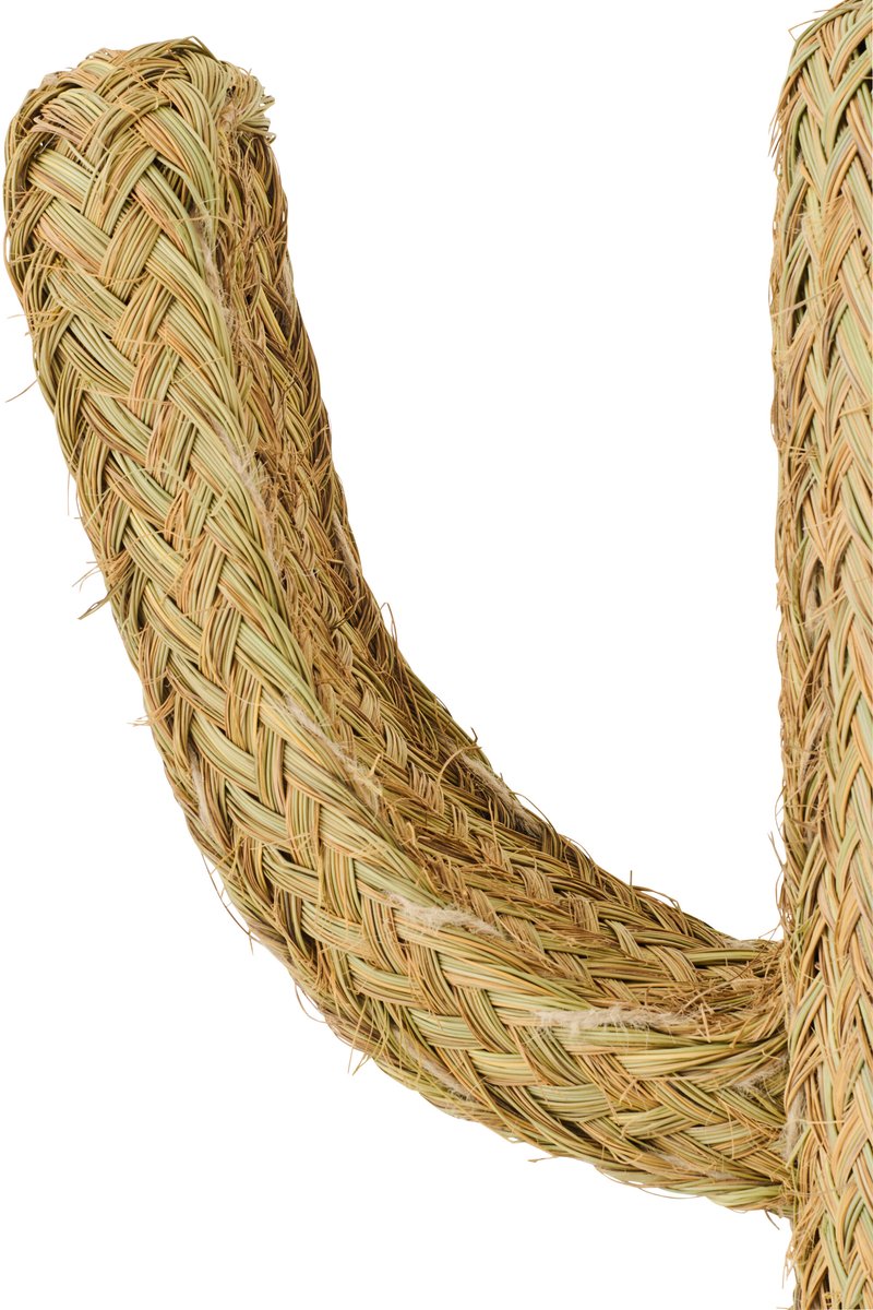 decoratie Cactus - riet - naturel - medium