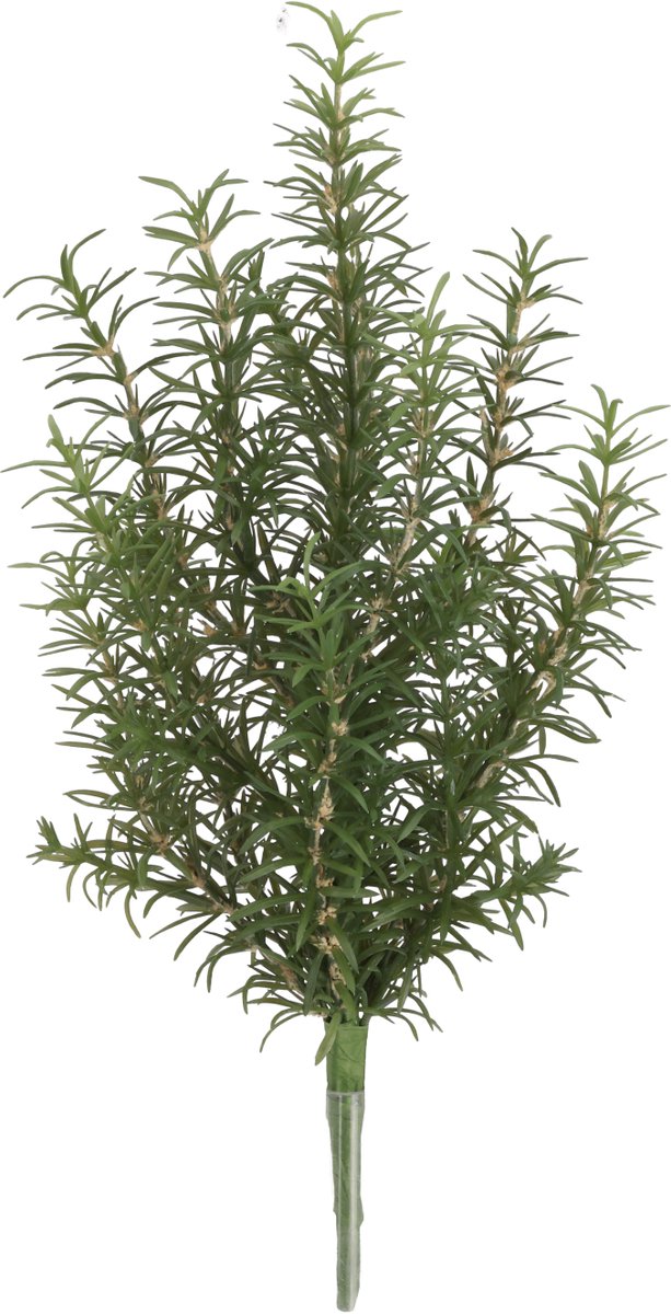 maxifleur Kunstplanten Rozemarijn Kunstplant 35cm Boeket Groen