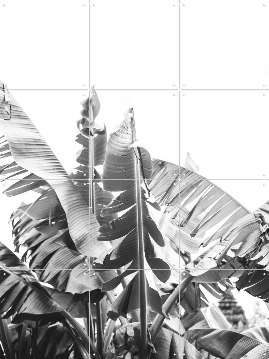 IXXI Banana Tree, Pati Photography - 60 x 80 cm - Gratis ophangtool - Grote wanddecoratie en posters - Fotografie, Slaapkamer, Woonkamer, Natuur