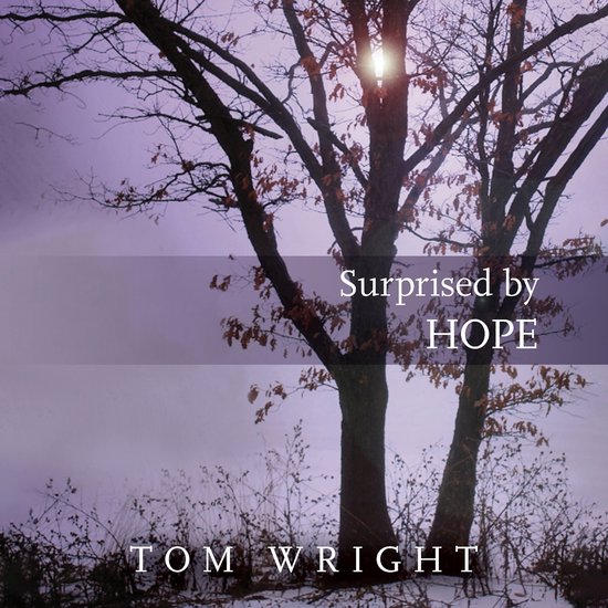 Surprised by Hope - cover