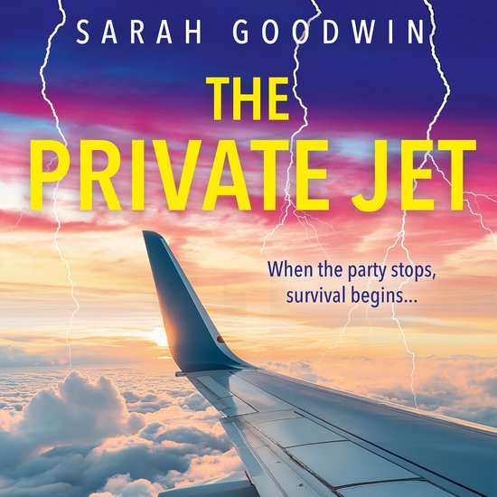 The Thriller Collection-The Private Jet - cover