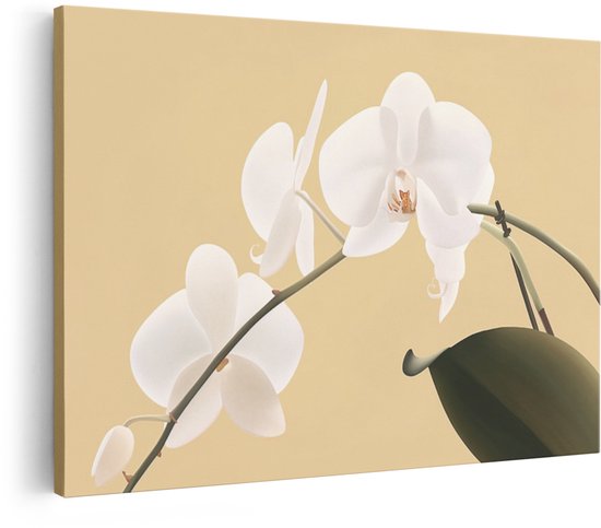 Artaza Canvas Schilderij Bloemen - 30x20 cm - Wanddecoratie Orchidee - Muurdecoratie Japandi Wit - Decoratie Woonkamer - Kamer Accessoires