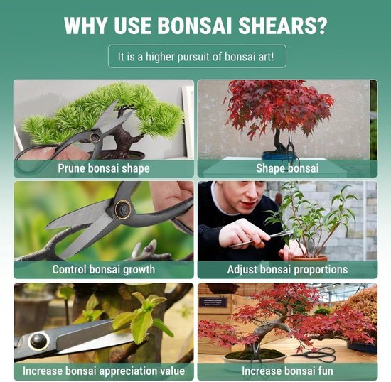 Plantenschaar van 200 mm voor het trimmen en snoeien van bonsai planten — afbeelding 3