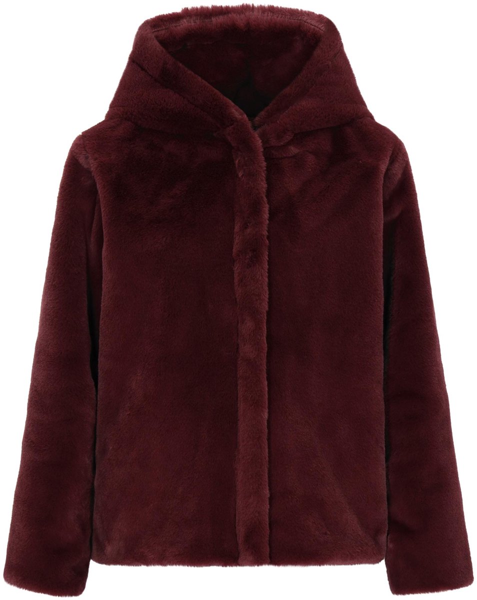 taddy Jacket
